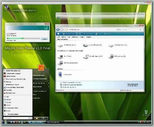  Windows Vista Aero theme